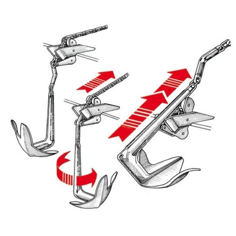 RVS anker wartel 2 RVS anker wartel - Afbeelding 2